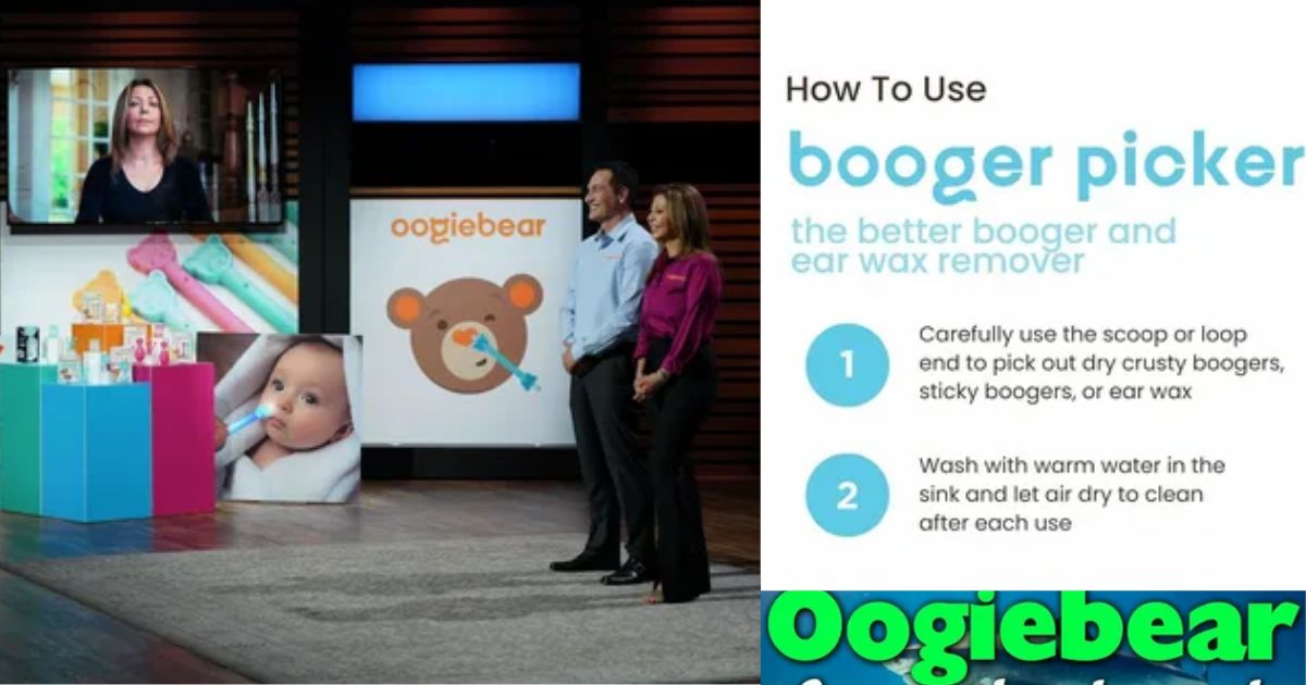Oogiebear Net Worth